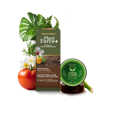 combo vital – plant force+ | healing cream