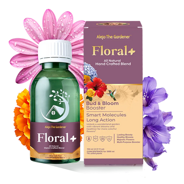 Concentrado 100% Natural Floral+ 5 Litros