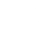 Ícono 4