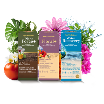 ¡Combo Mágico! 3 Concentrados: Plant Force+ | Floral+ | Water Recovery