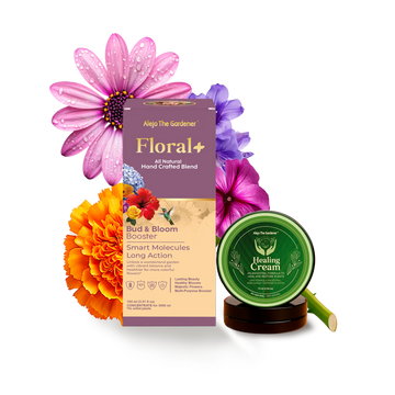 combo floración – floral+ | healing cream