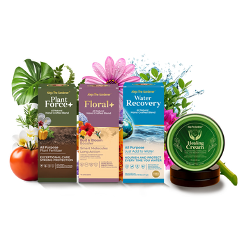 ¡Combo Plant Lover! 4 productos: Plant Force+ | Floral+ | Water Recovery | Healing Cream