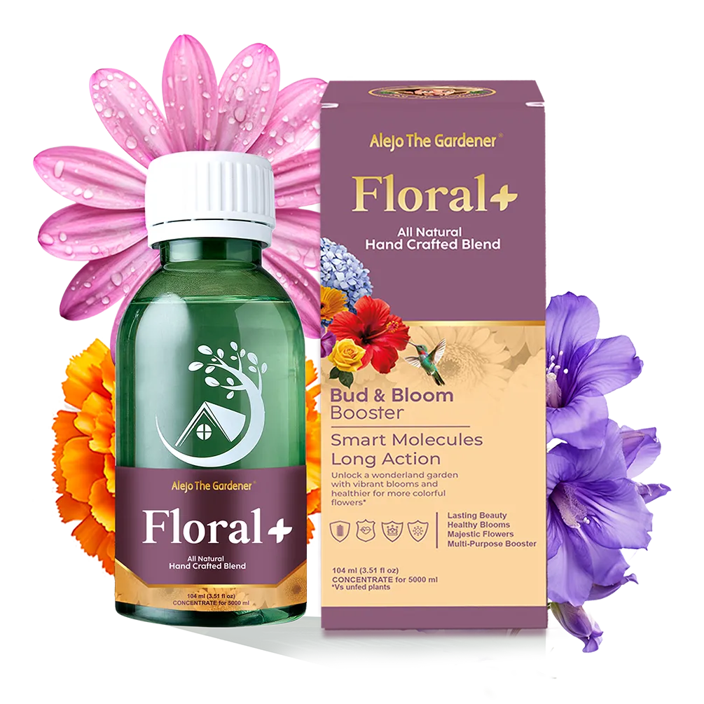 Concentrado 100% Natural Floral+ 5 Litros