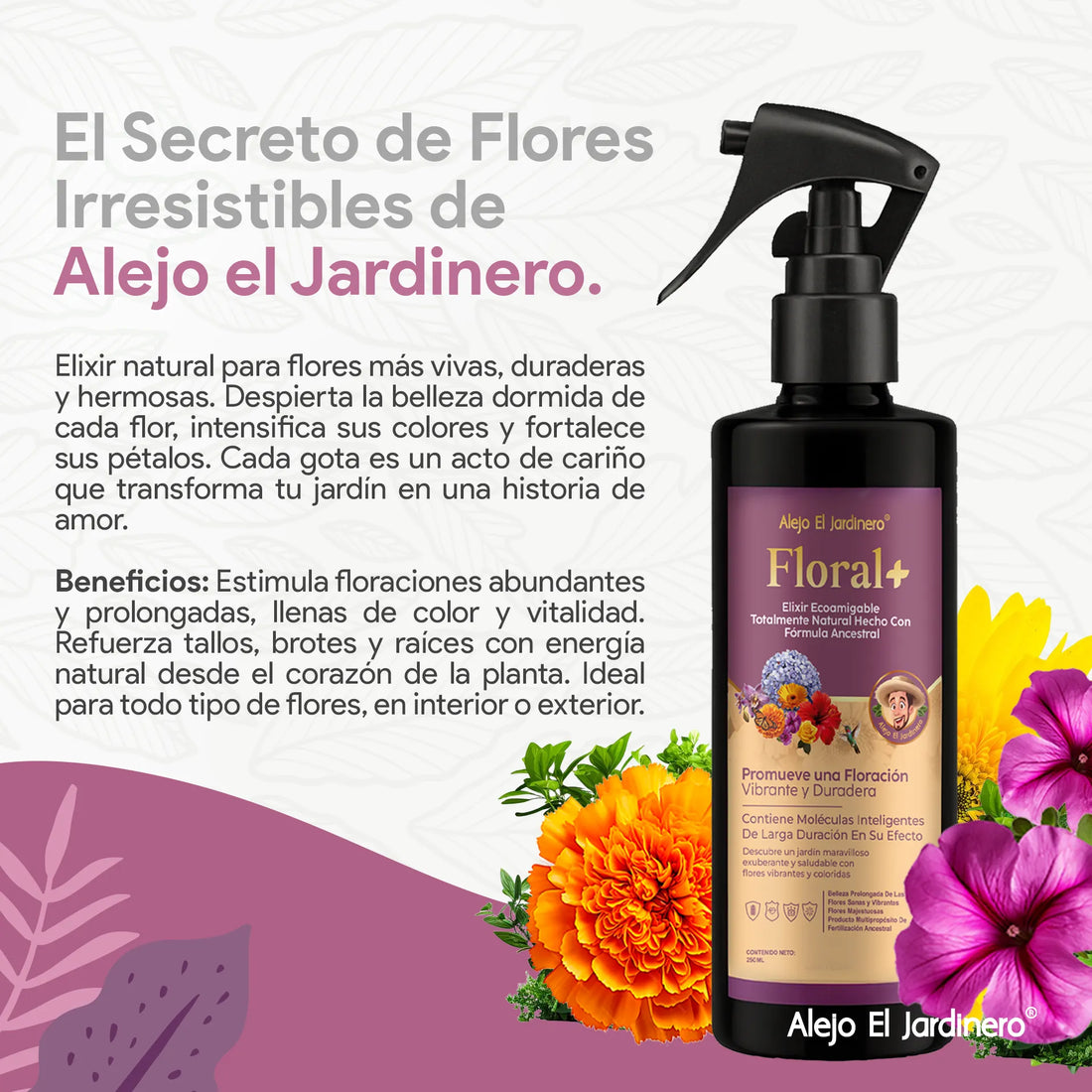 ¡Combo x3! Concentrado Plant Force+ Floral+ Leaf Shine Gratis