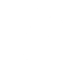 Ícono 4