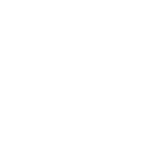 Ícono 4