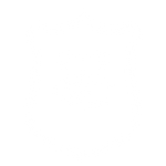 Ícono 1