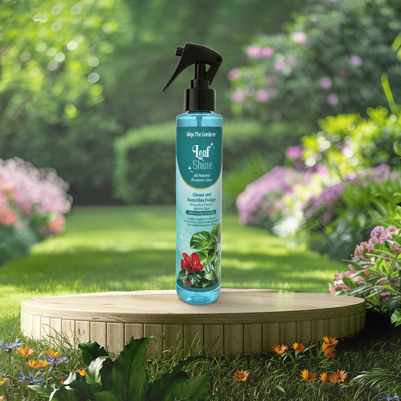 tres fórmulas naturales para un jardín radiante y lleno de vida