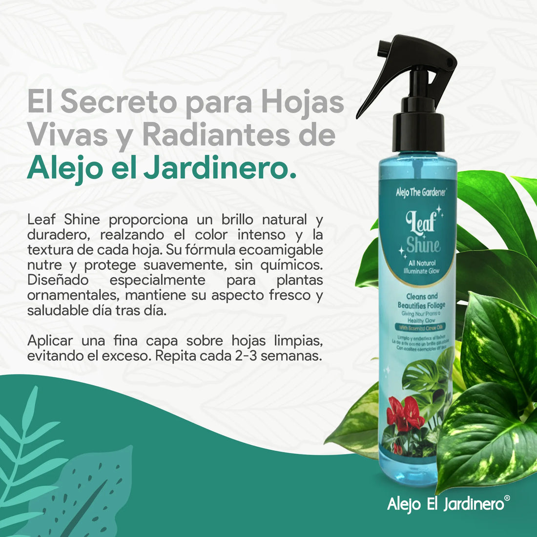 100% Natural Leaf Shine 160ml