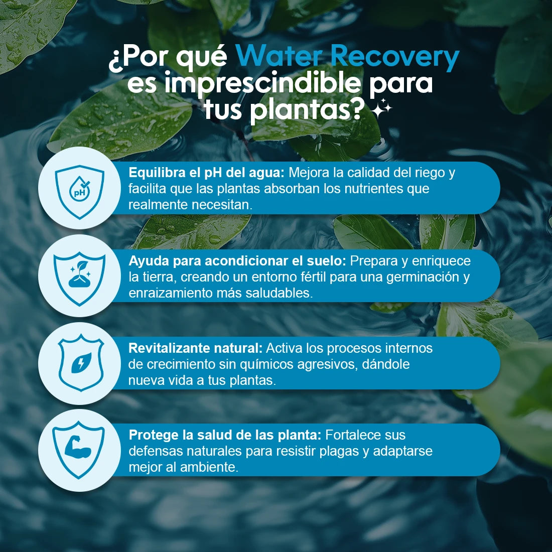 ¡Combo Mágico! 3 Concentrados: Plant Force+ | Floral+ | Water Recovery
