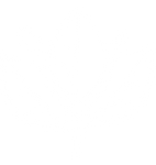 Ícono 2