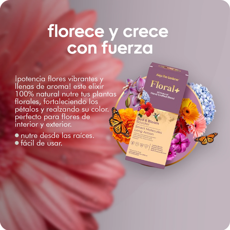 unleash radiant blooms with floral+ by Alejo The Gardener.