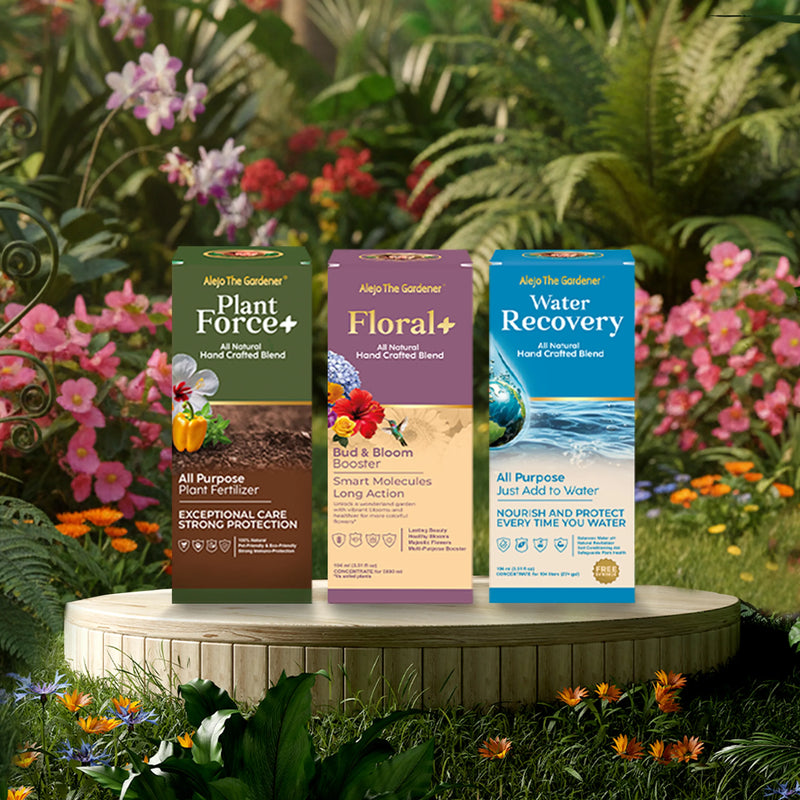 combo jardín esencial. florece, renace y fortalece.