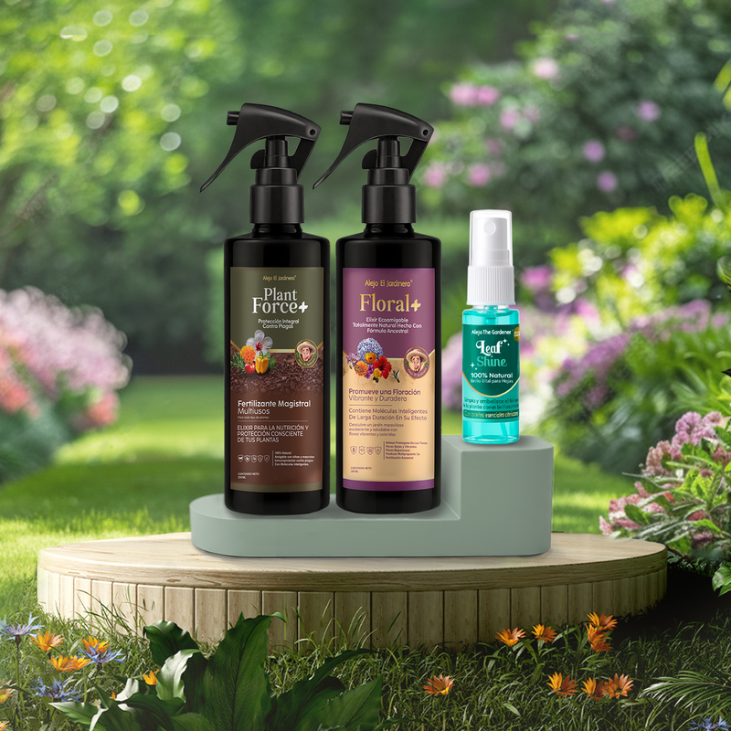 tres fórmulas naturales para un jardín radiante y lleno de vida